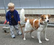 Luca und Cindy gehen zusammen spazieren (20.07.2008)